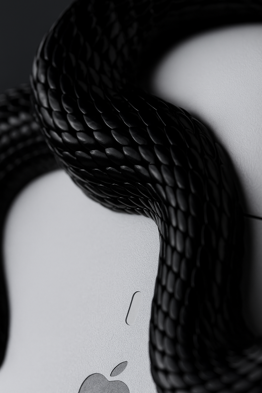 AirPods Pro Snake Case