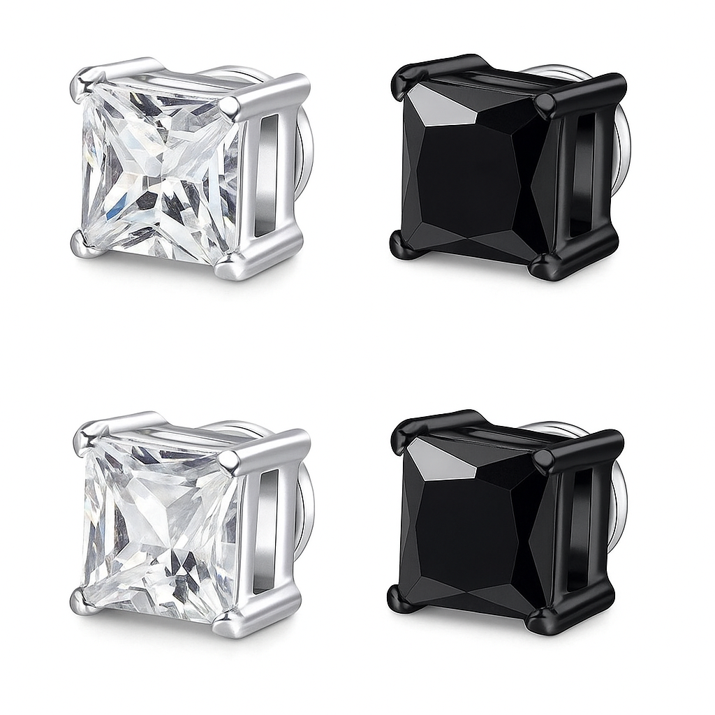 2 Pairs of Earrings (silver+black)